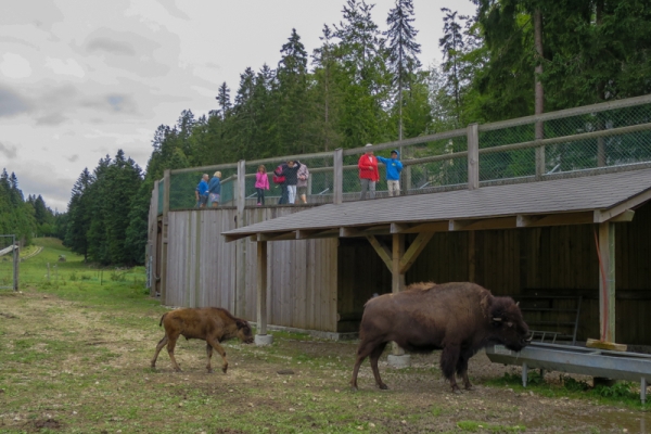 Von Le Pont nach Vallorbe 