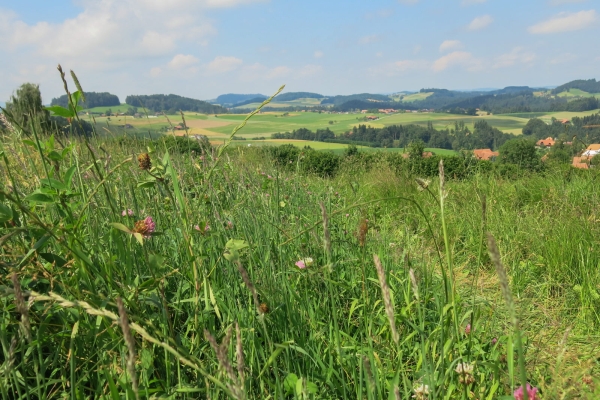 Von Schwarzenburg nach Mittelhäusern