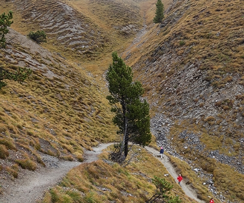 Dans la vallée des gypaètes barbus