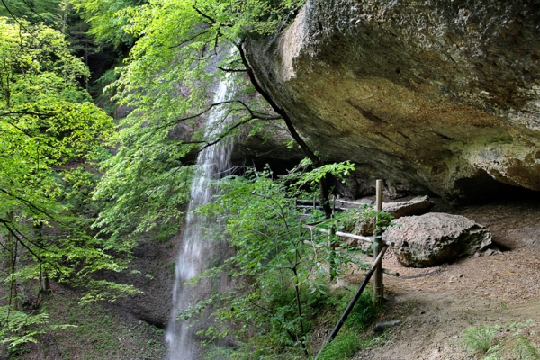 Paysage enchanté dans un coin sauvage ZH