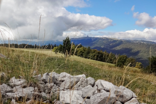 Ausflug auf den Mont-Sujet 