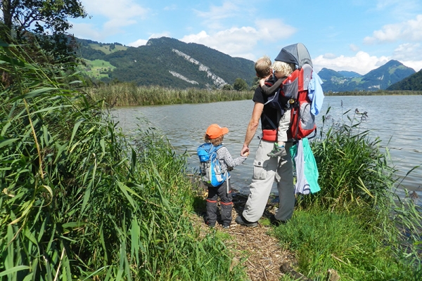 Grosse Vielfalt am Alpnachersee