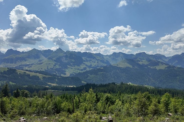 Zollhaus - Schwarzenbühl Kurhaus