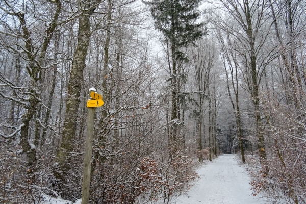 Le Reiat, dans le Parc naturel Schaffhouse