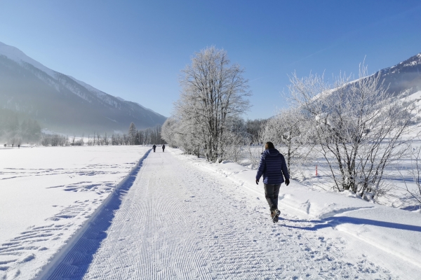 Wintervielfalt im Goms