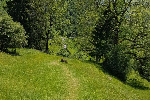 Dalla torbiera alta all’abbazia di Einsiedeln