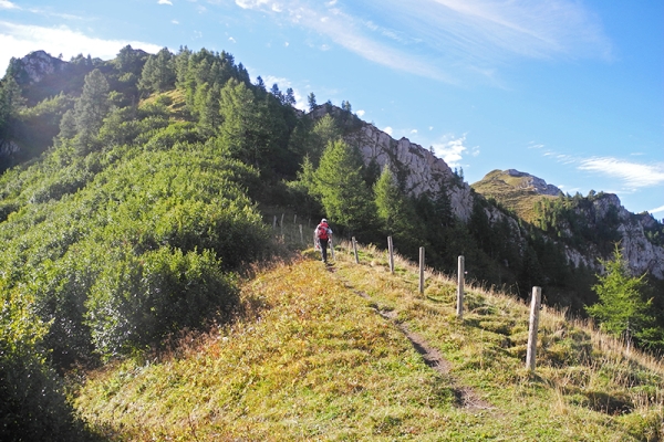 Longue, solitaire et spectaculaire