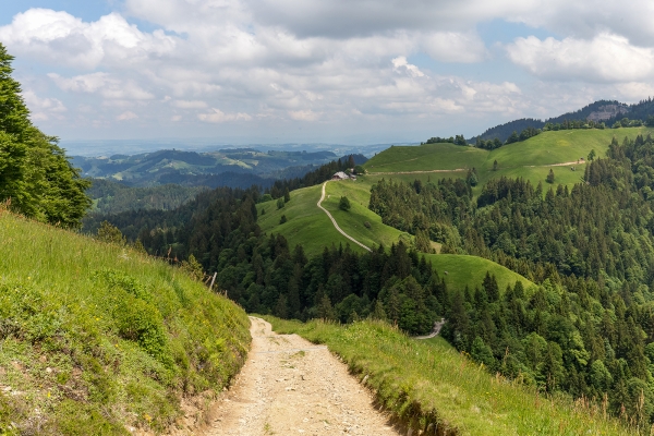 Sur le sentier frontalier du Napf 1