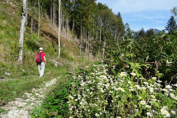 La Vudalla, dans le Parc naturel Gruyère Pays-d’Enhaut