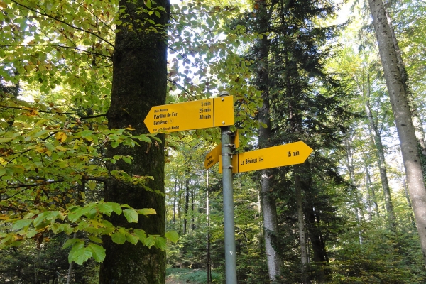 Sur le Sentier du Sel à Bex