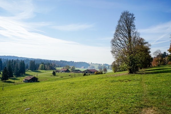 Le Jura entre Sonvilier et Le Noirmont