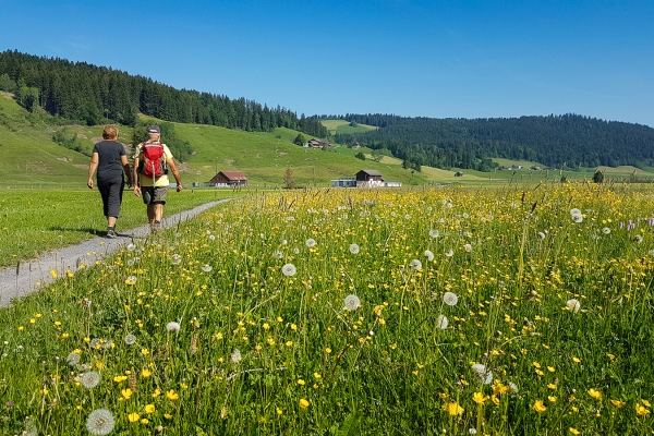 Durch das Hochmoor zum Kloster Einsiedeln