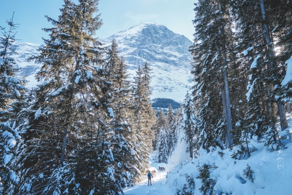 Vue sur l’Eiger et le Wetterhorn BE