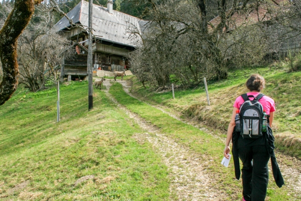 Höhenwanderung im Emmental