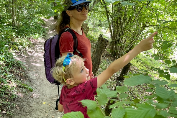 Auf historischen Pfaden am Mont Vully