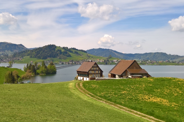 Alpages entre les lacs de Sihl et de Zurich