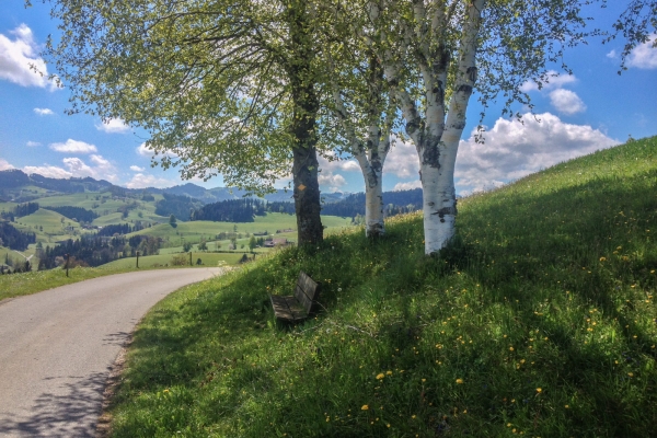 Hinauf in die Sonnenstube im Napfgebiet