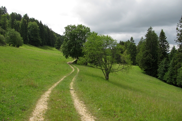 Regennass dans le Jura soleurois