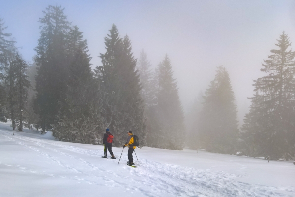 En raquettes au Mont-Soleil