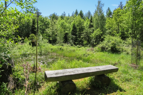 Wildes Kleinod am Wannenberg