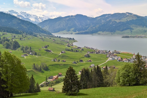 Pascoli fra il lago di Sihl e il lago di Zurigo