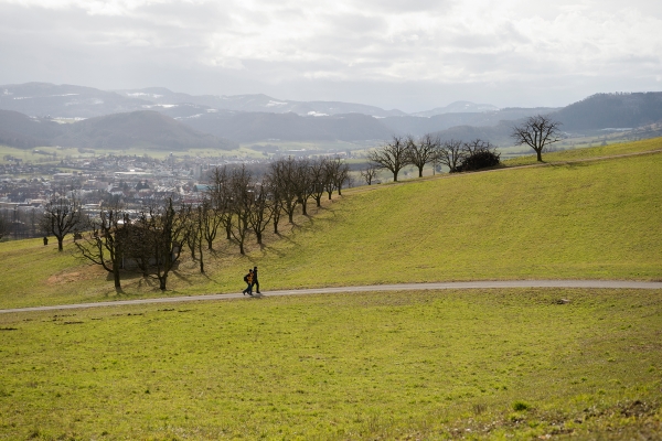 Rejoindre la vallée du Fricktal par Heuberg