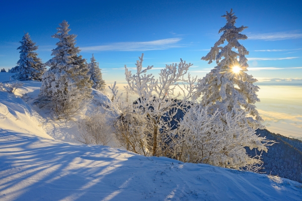 Auf der Wandflue des Grenchenbergs