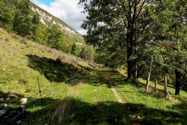 Une escapade au Mont Sujet 