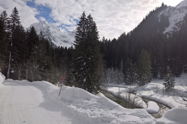 Von Klosters zur Alp Garfiun