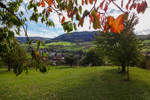 Dans le parc naturel du Jura argovien