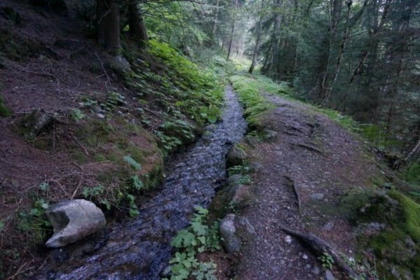 R65: Basse-Nendaz - Bisse d'en bas Bas - Bisse du Milieu - Haute-Nendaz