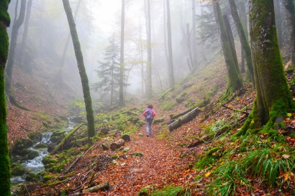 Sentier de la Wolfsschlucht dans le Parc naturel Thal