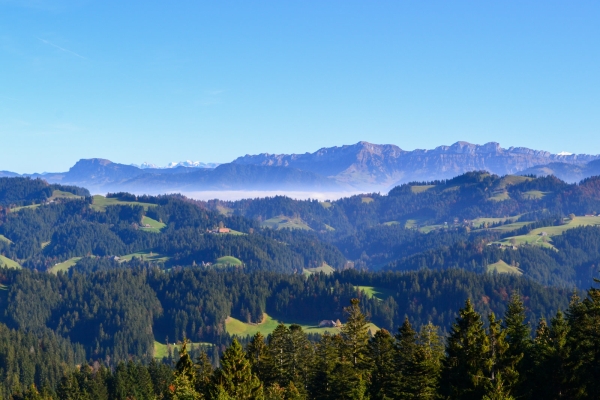 L’Emmental sous son plus beau jour