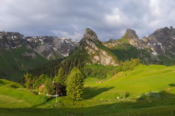 Alpages au-dessus du lac des Quatre-Cantons