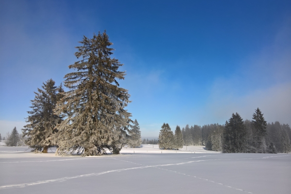 Mit Schneeschuhen über den Mont-Soleil