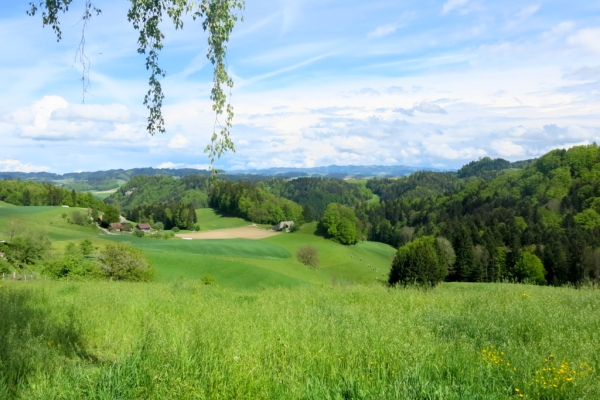 L’Emmental et sa molasse