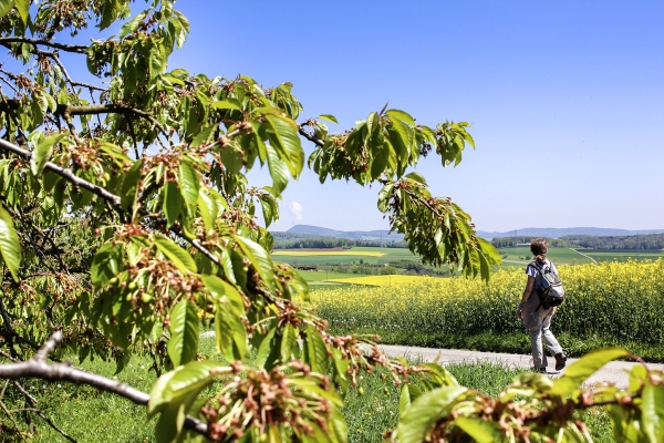 Entre le pied sud du Jura et le Fricktal