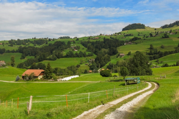 Au pays des vaches sur les traces de Vreneli