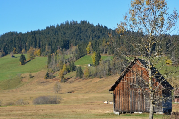 Herbstwanderung über die Muetegg 