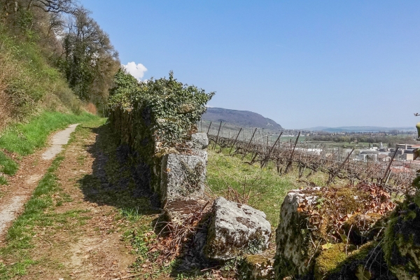 De St-Blaise à Le Landeron