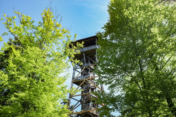 Attraverso la città, nella natura ZH