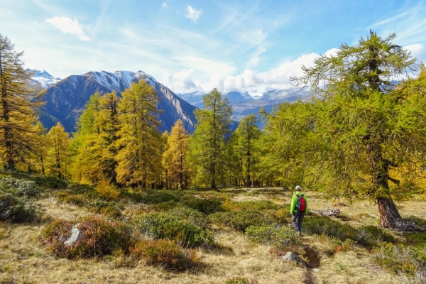 Wanderung zum Schaplersee im Landschaftspark Binntal