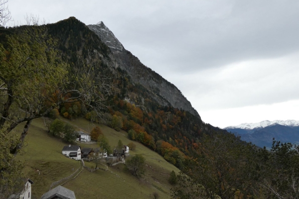 Feurige Herbstwanderung in Lichtenstein mit Aussicht aufs Rheintal