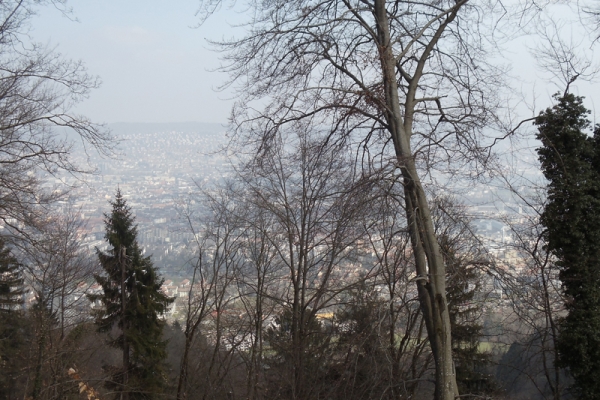 Randonnée de l'après-midi à Zurich