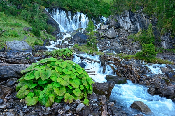 Sous le signe de l’eau