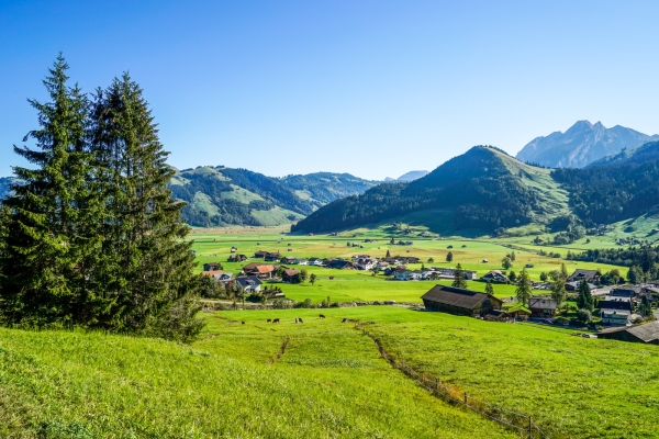 D’Unteriberg à Gross en passant par le Spital