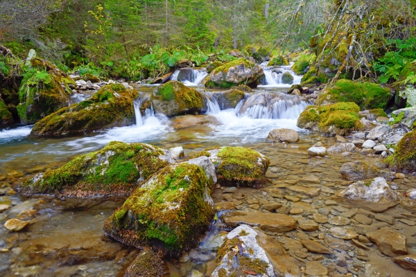 Aux sources de la Vièze