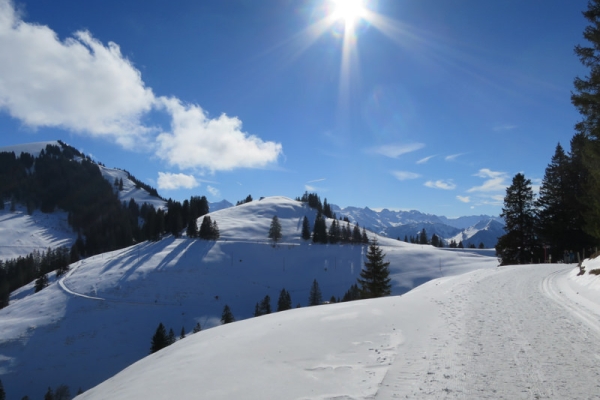 Le lac des Quatre-Cantons à ses pieds