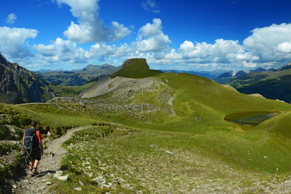 Sous le signe de l’eau