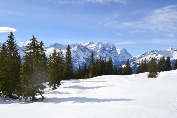 Aussicht von den Sonnenhängen